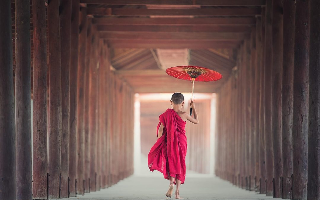 Dinas Damkar Balikpapan Hapus Sarang Tawon di Perbukitan