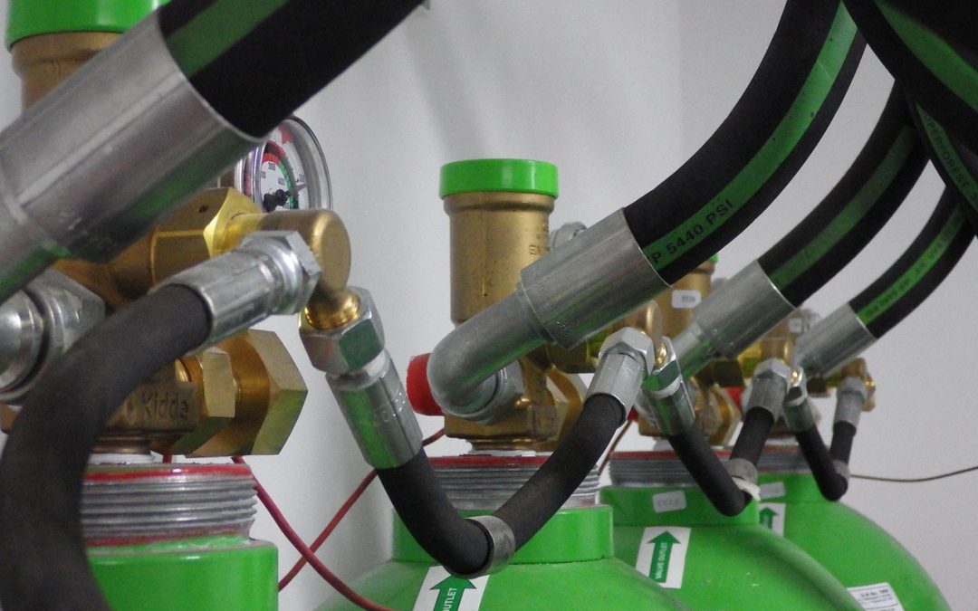 Dinas Damkar Balikpapan Evakuasi Ular di Jalan Protokol