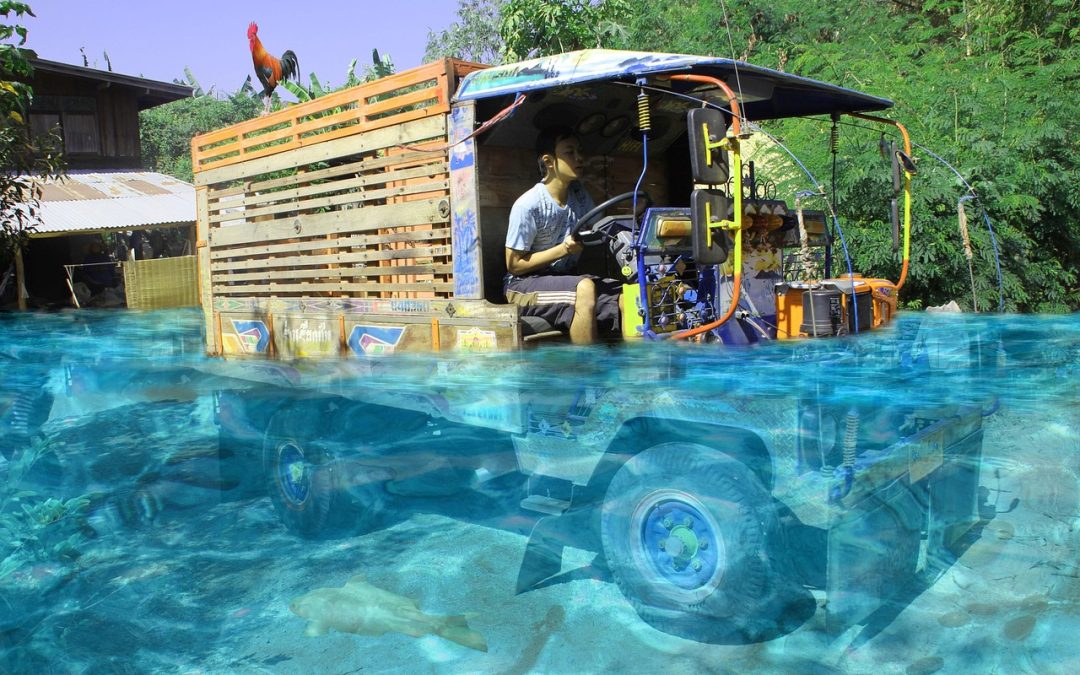 Dinas Damkar Balikpapan Hapus Sarang Tawon di Pelabuhan